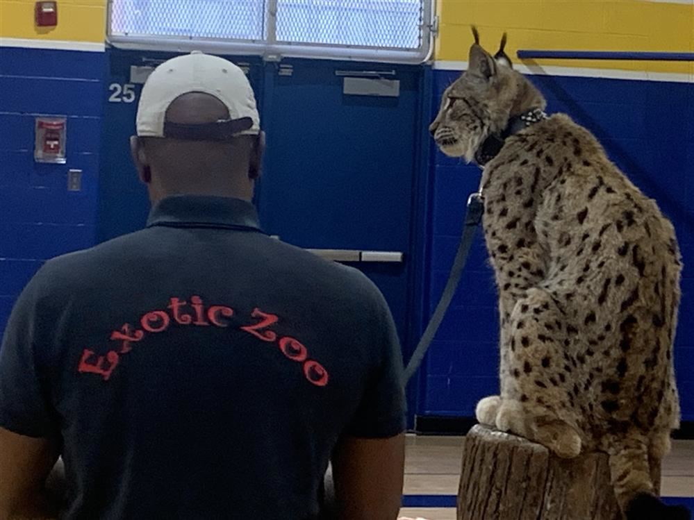  Lynx and Exotic Zoo Logo